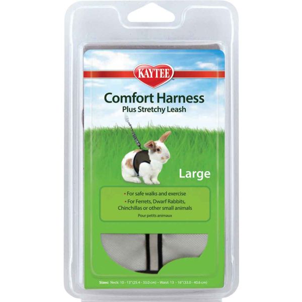 Stretchy leash online