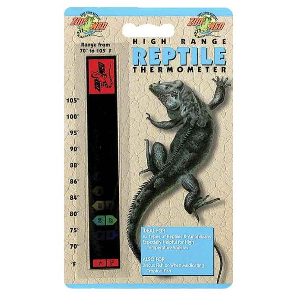 Thermometer lizard hotsell