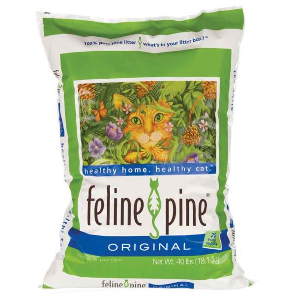 Non clumping cat litter for kittens clearance