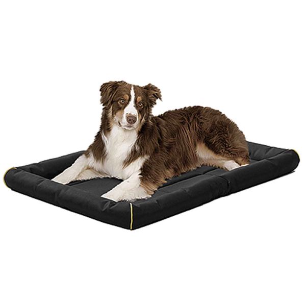 Quiet Time Maxx Bed Black 48 inch