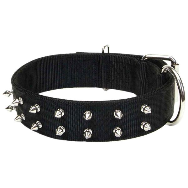 Double buckle dog collar sale