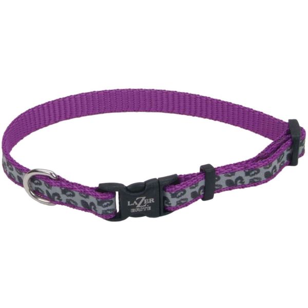 Lazer brite collar 2025