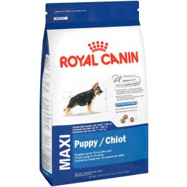 royal canin shn maxi puppy