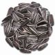Shafer Striped Sunflower Seed 40LB