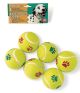SPOT Tennis Balls Value Pack 6pk