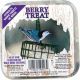 Berry Treat Suet Cake 11oz