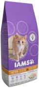 Iams Proactive Health Kitten