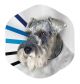 EZ Recovery Collar Medium - Clear - Neck Size 7.5in - 10in