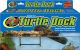 Turtle Dock Medium