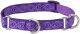 Jelly Roll Martingale Collar 10-14 Inch