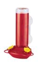 Window Mounted Glass Hummingbird Feeder