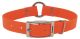 COASTAL Woods & Waters Waterproof Collar with Center Ring Orange 1in x 24in