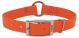 COASTAL Woods & Waters Waterproof Collar with Center Ring Orange 1in x 20in
