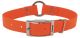 COASTAL Woods & Waters Waterproof Collar with Center Ring Orange 1in x 18in