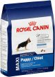 Royal Canin Maxi Puppy 35lb