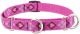 Puppy Love Martingale Collar 14-20 Inch