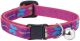 Cat Collar with Bell 1/2in Wide x 8-12 Inch - Wing It
