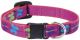 Adjustable Dog Collar 1/2in Wide x 10-16 Inch - Wing It