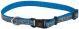 Reflective Adjustable Dog Collar Turquoise Bone - 3/8