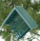 Going Green Suet Feeder