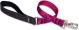 Plum Blossom Leash 1IN x 4 FT