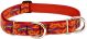 Go Go Gecko Martingale Collar 19-27 Inch