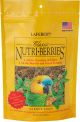 Nutri-Berries Parrot 10oz