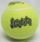 AirDog Squeaker Ball X-Large