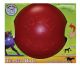 Jolly Ball Teaser Ball Red 6in