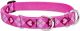 Puppy Love Martingale Collar 1in wide X 15-22 Inch