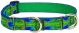Tail Feathers Martingale Collar 15-22 Inch