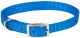 Flat Nylon Collar Blue Lagoon - 5/8