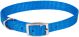 Flat Nylon Collar Blue Lagoon - 5/8