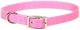 Flat Nylon Collar Pink - 5/8