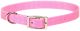 Flat Nylon Collar Pink - 5/8