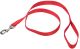 Nylon Leash Red - 3/4