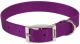 Flat Nylon Collar Purple - 1