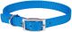 Flat Nylon Collar Double Ply - Blue Lagoon