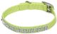 Flat Nylon Collar with Jewels - Lime