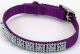 Flat Nylon Collar with Jewels - Purple