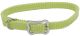 Sunburst Collar with Bone Buckle Lime - 3/8