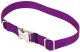 Nylon Adjustable Collar - Purple
