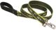 Brook Trout Leash 1IN x 6FT