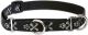 Bling Bonz Martingale Collar 3/4in wide X 10-14 Inch