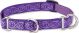 Jelly Roll Martingale Collar 1in wide X 15-22 Inch