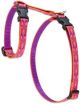 Alpen Glow Cat H-Harness 1/2in wide X 12-20 Inch