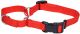 No Slip Collar with Buckle Red - 1