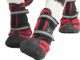 ***Performance Dog Boots Red Small 4pk