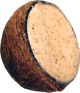 Suet To Go Mealworm & Peanut Whole Coconut 10oz