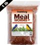 TRADEKING Mealworms 1LB